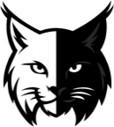 LynxPrompt
